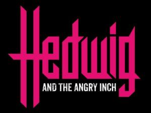 Hedwig And The Angry Inch poster