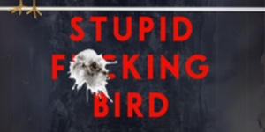 Stupid Fucking Bird poster