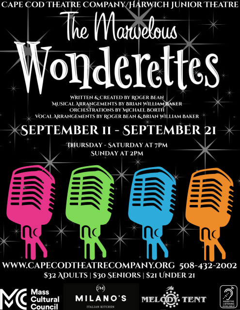 The Marvelous Wonderettes poster