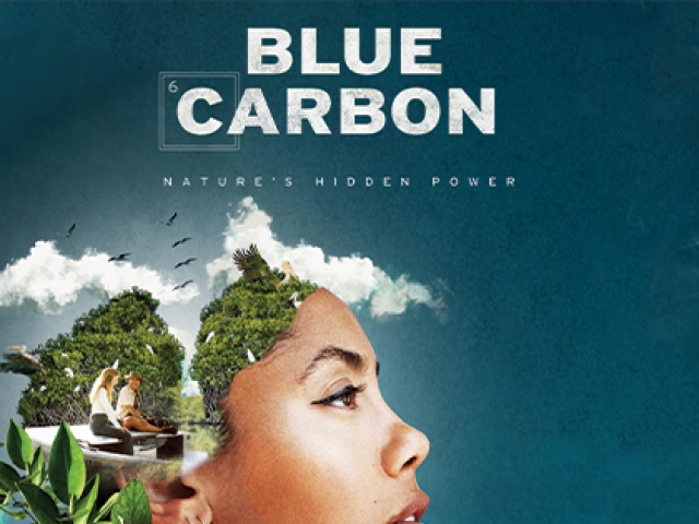 Blue Carbon poster