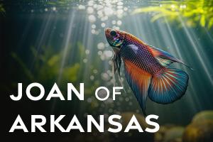 Joan Of Arkansas